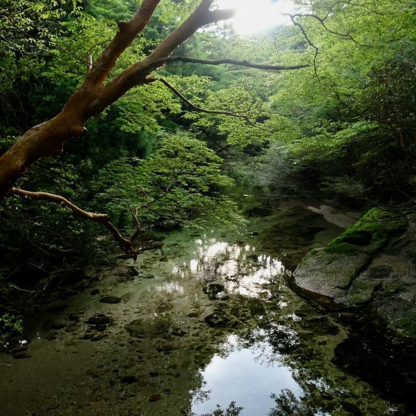 宮之浦岳1