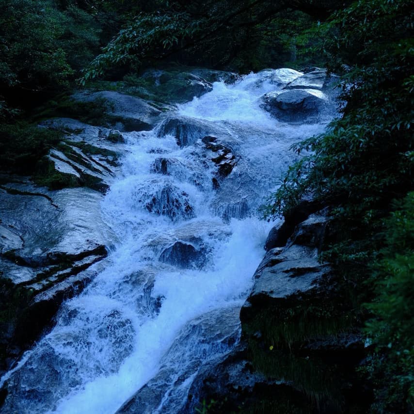 白谷雲水峡2