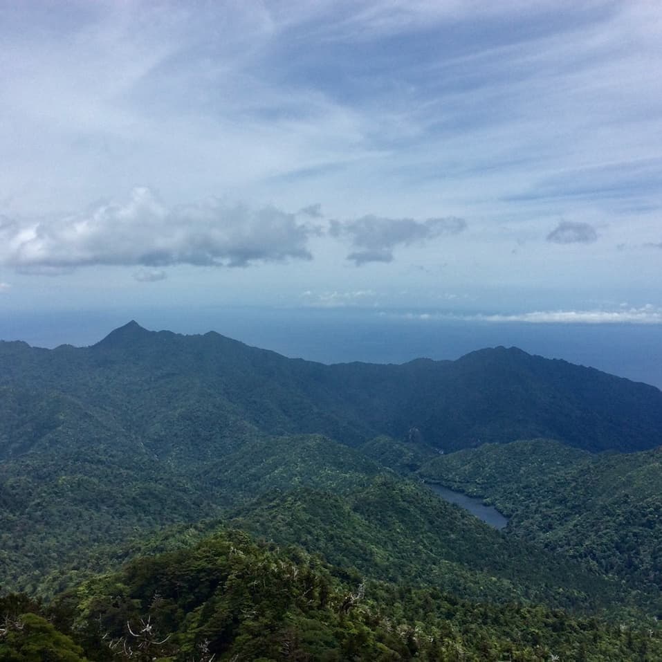 太忠岳5
